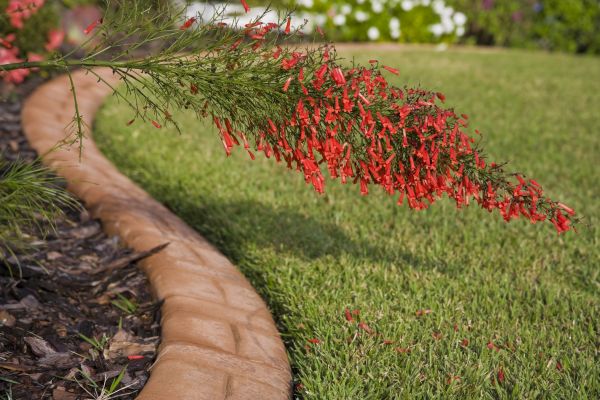 Brick Edging in Decatur