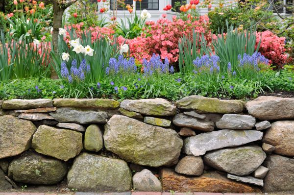Stone Wall Hardscaping in Decatur