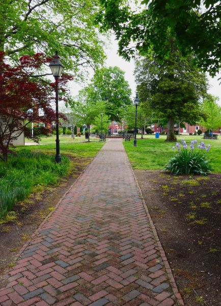 Brick Pathway Repair in Decatur