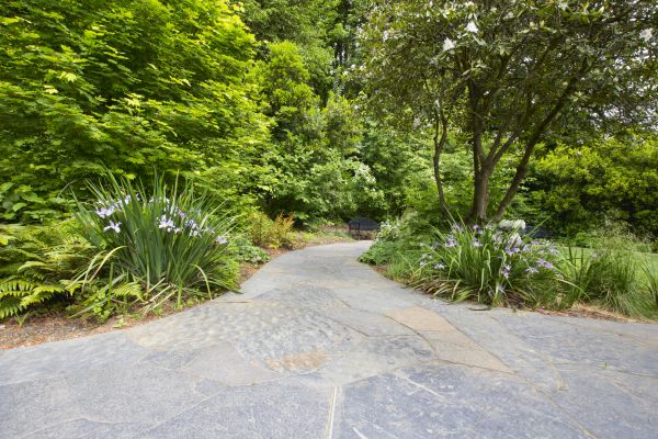 Stone Hardscape Service in Decatur