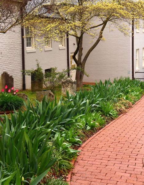 Brick Flatwork Repair in Decatur